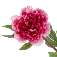 ������ ������������� ����, L10 W10 H48 ��