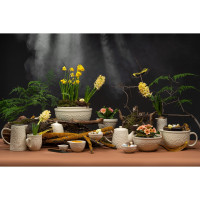   Liberty Jones Birds Of Paradise, 500 , 2 ,  