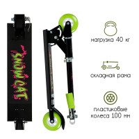 - 2  1 Snow Cat,  100 