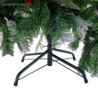 ������������� ���� ������� ����������. ���������, 120 ��, 322 ��� �����