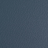   Zapel Eco Leather,  