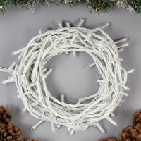   10 , Ip44,  , 100 Led,  , 8 , 220 