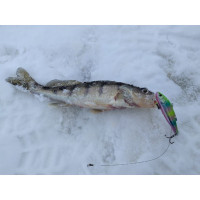 ������ ������� ������������ Lj Pro Series Vib S, 5.8 ��, ���� 140