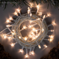   5 , Ip20,  , 50 Led,   , 8 , 220 