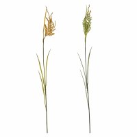 ������������� ������ ������� ����������, 70��, 2�