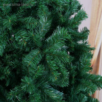    .  , 300 , D   145 , 2800    