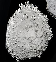 Gr-29/15 �����-�����