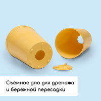   :   250  (18 .),  40 20 ,  , Greengo