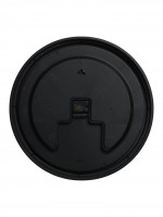 ���� ��������� �������, D-48 ��, ���������� ���