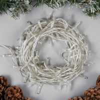   10 , Ip20,  , 100 Led, 8 , 220 ,   