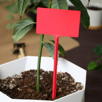 �������� �������, ��� ���������� ��������, 34 ��, ����� 10 ��., �������, ����, Greengo