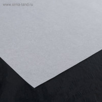   ,  Gurmanoff, 38x42 C, 500 , 