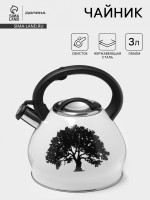   Magic Forest, 3 ,  ,   , ,  , 