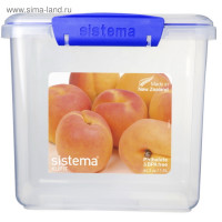  Sistema, 1.9 