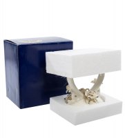 Cms-10/16    (pavone)