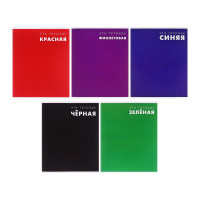  48   , Calligrata  , 