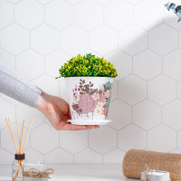 ������ ��� ������ ������ ��������, 800 ��, ���� �����