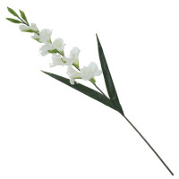   , L22 W7 H93 
