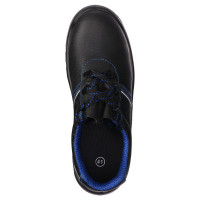    Prosafe Basic 23,  ,  41