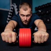    Onlytop, 341313 ,  ,  