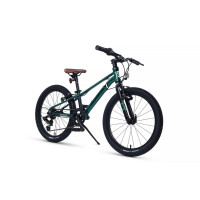  20 Maxiscoo 7bike M200,  