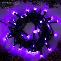   5 , Ip20,  , 50 Led,  , 8 , 220 