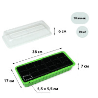 -  , 37   16   13 , 2 , 18 , , Greengo