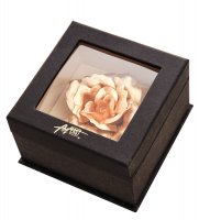 Ga-br-01 ����� �����