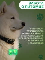-      3  , 
