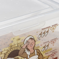 ��������� ��� ����, 5,3 �, �������