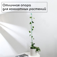    , H=100 , D=3  , , , Greengo