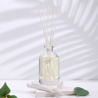   Stella Fragrance "Sandalwood", 100 ,  