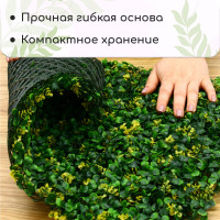  , 60   40 ,  , Greengo
