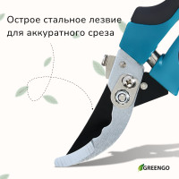  , 9 (23 ),   , , Greengo