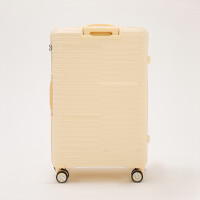   100  (l),   ,  , 4 ,  