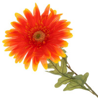 ������ ������������� �������, L28 W28 H95 ��, 3�.