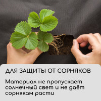   , 10 1.6 ,  90 / ,   -, , Greengo,  30%