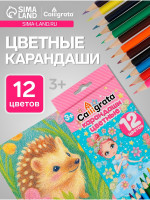  Calligrata , , 12 , , 