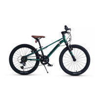  20 Maxiscoo 7bike M200,  
