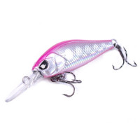  . Lj Pro Series Anira Lbsp, 3.9 ,  112