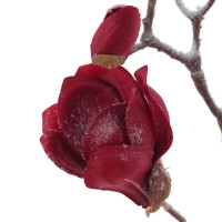 ������ ������������� ������� ��������, L28 W11 H90 ��