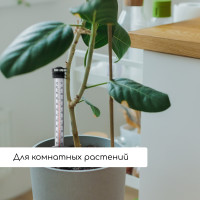       , Greengo