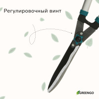 , 22 (56 ),  ,   , , Greengo