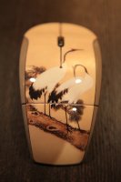  "Red-crowned Crane"