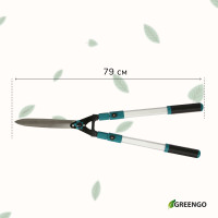 , 31 44,5 (79 113 ), ,    , Greengo