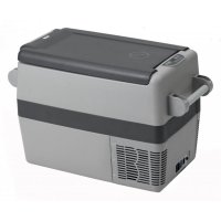   Indel B Tb41a    