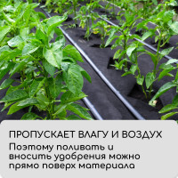  , 5 0.8 ,  80 / ,  -, , Greengo,  30%