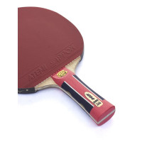     Atemi Pro 2000 Cv