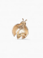 ����� ������ �������, ������-����� � ������