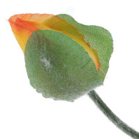 ������ ������������� ���, L17 W9 H73 ��